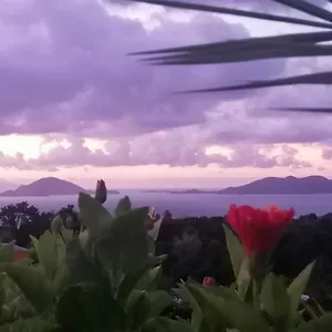  Hébergement de vacances Le Bananier Rouge